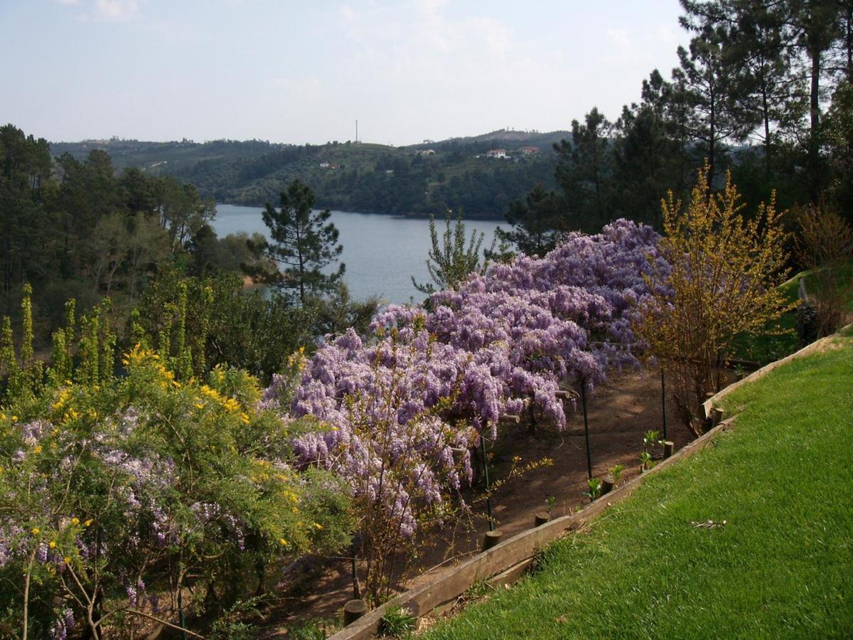Вилла Quinta Do Troviscal Каштелу-ду-Боди Экстерьер фото
