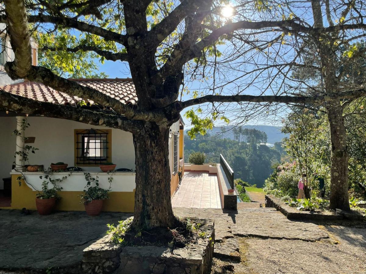Вилла Quinta Do Troviscal Каштелу-ду-Боди Экстерьер фото