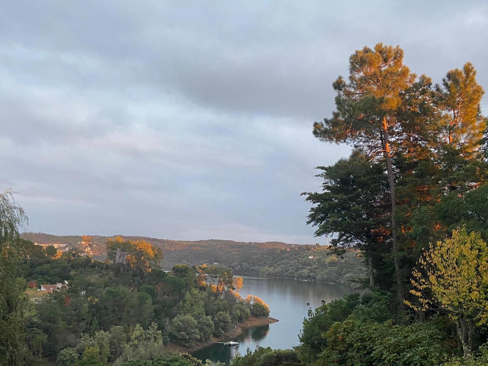 Вилла Quinta Do Troviscal Каштелу-ду-Боди Экстерьер фото