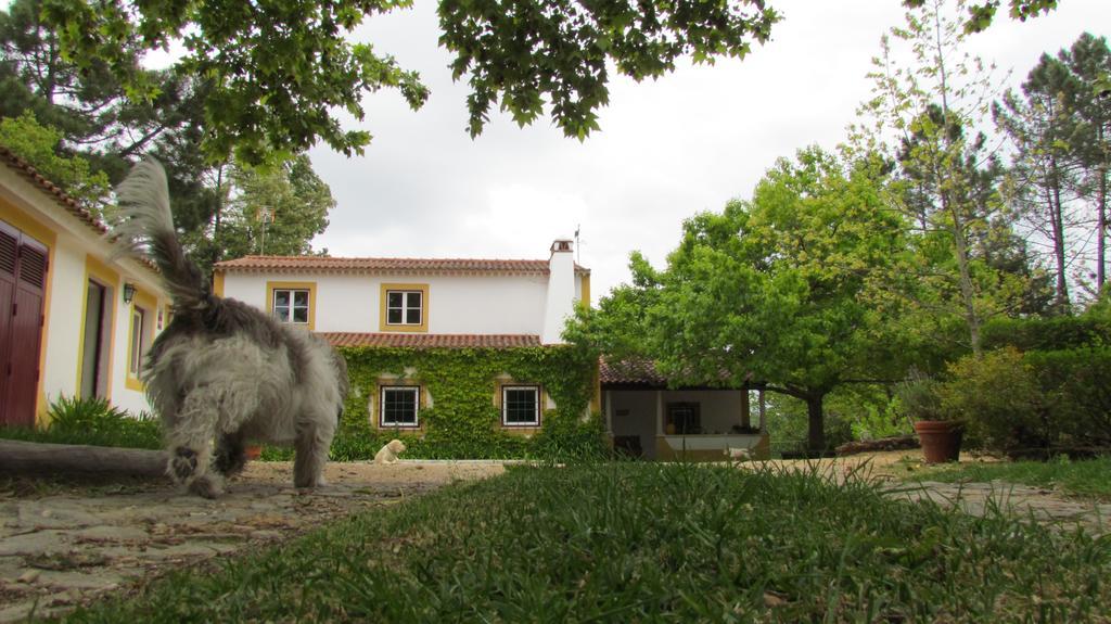 Вилла Quinta Do Troviscal Каштелу-ду-Боди Экстерьер фото