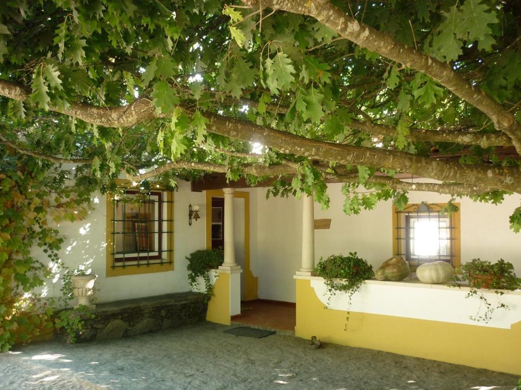 Вилла Quinta Do Troviscal Каштелу-ду-Боди Экстерьер фото