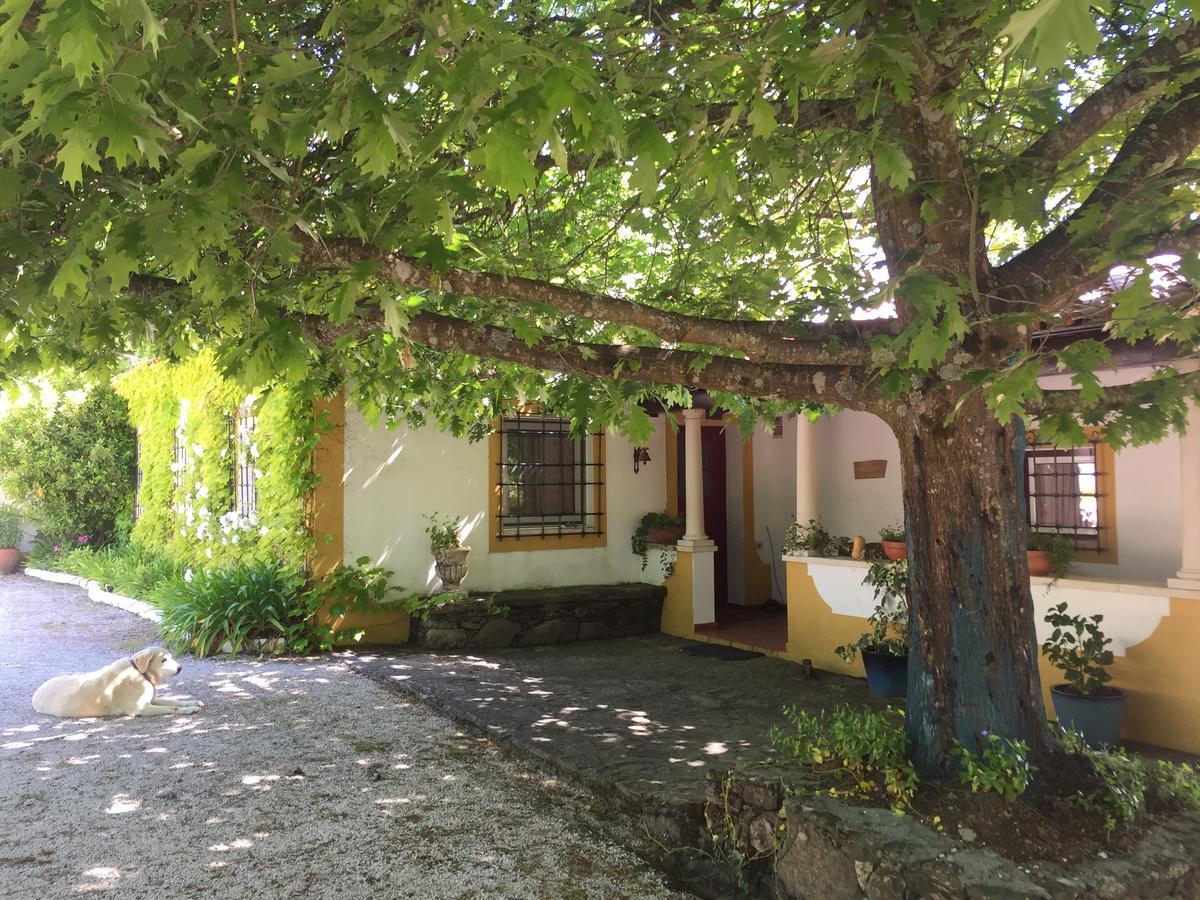 Вилла Quinta Do Troviscal Каштелу-ду-Боди Экстерьер фото