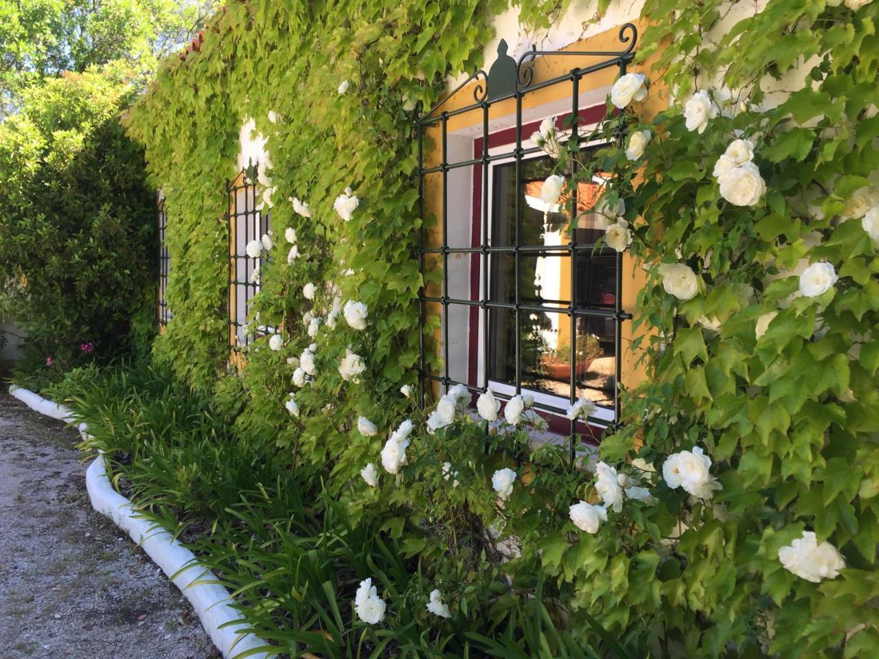 Вилла Quinta Do Troviscal Каштелу-ду-Боди Экстерьер фото